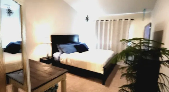 Номер Comfort Casa de gato