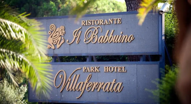 Одноместный номер Economy Park Hotel Villaferrata
