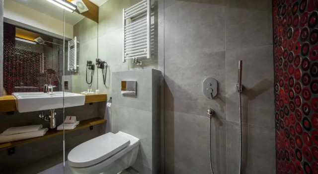 Апартаменты Standard Hotel Kopieniec Fizjo- Med & SPA