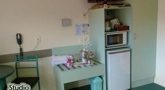 Студия Birchwood Spa Motel