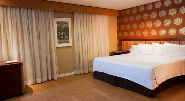 Одноместный номер Standard Wyndham Sao Paulo Ibirapuera Convention Plaza
