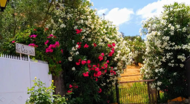 Коттедж El Antiguo Molino