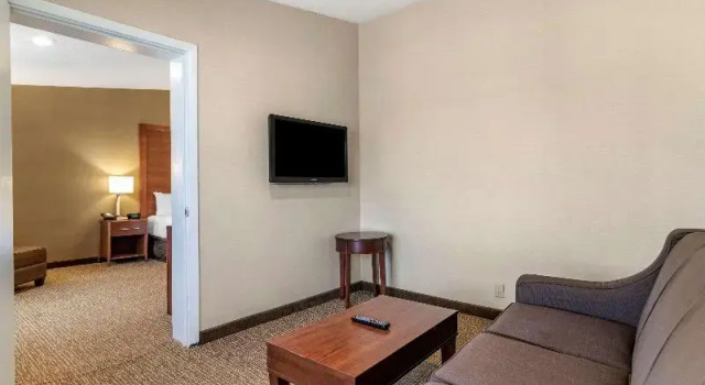 Люкс Comfort Inn Albany-South, Glenmont