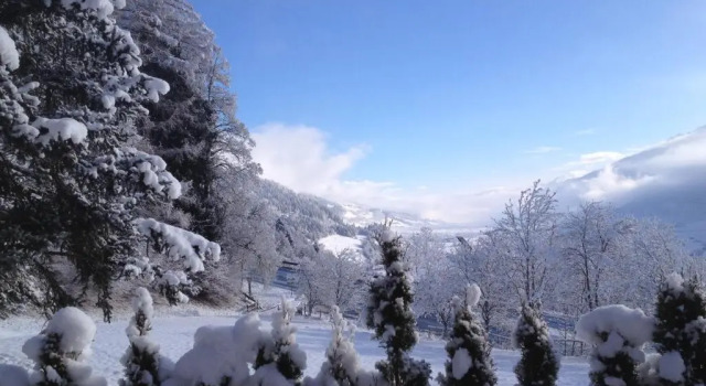 Полулюкс Pension Schlossberg
