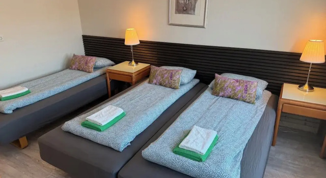 Номер Standard Frost Guesthouse