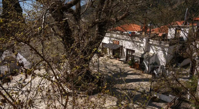 Апартаменты Stamoulis' house