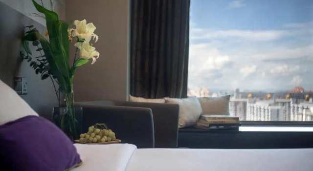 Premier double chambre V Hotel Lavender