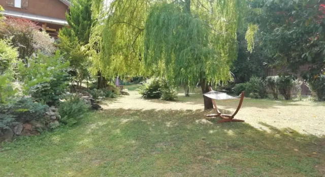 Le Grand Saule