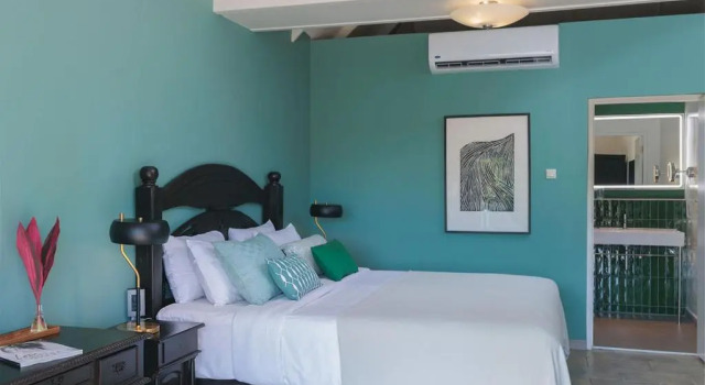 Номер Deluxe Kura Botanica Hotel