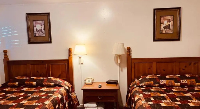 Семейный номер Standard Jumping Frog Motel