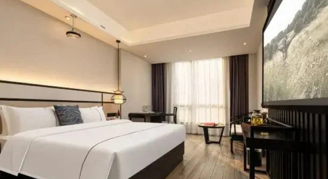 Suite Luxury Junlin Banshan Hotel