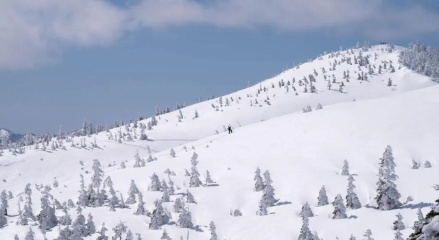 Апартаменты Angel Resort Yuzawa 814