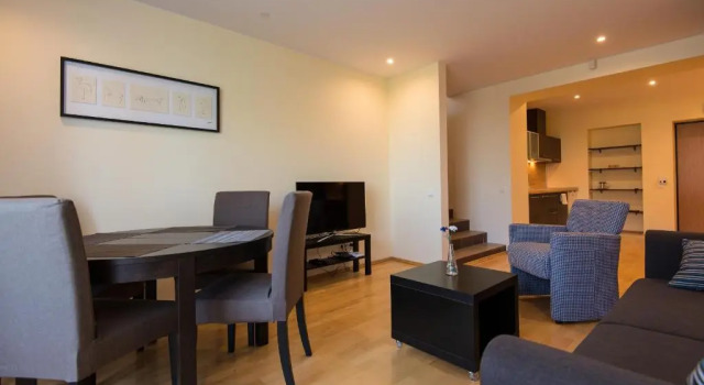 Appartamento 1 camera da letto Parnidžio Kopa