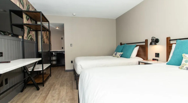 Четырёхместный номер Standard Magnolia Tree Hotel-Maingate/Anaheim Convention Center