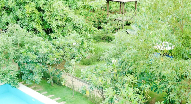 Двухместный номер Standard с видом на бассейн iRoHa Garden Hotel & Resort