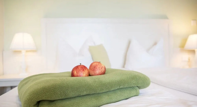 Двухместный номер Classic Paulsens Landhotel und Restaurant