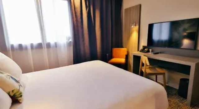 Номер Comfort Best Western Plus Hôtel & Spa de Chassieu
