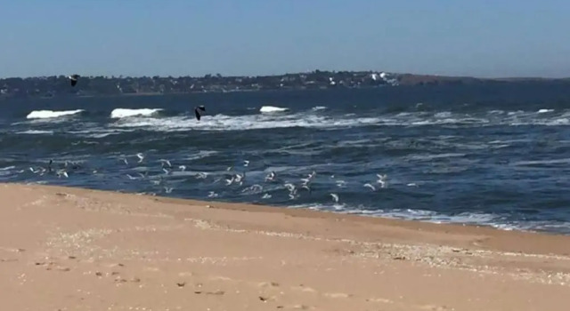 Коттедж Casa frente al mar Violeta, 5 personas un paraíso divino!!!