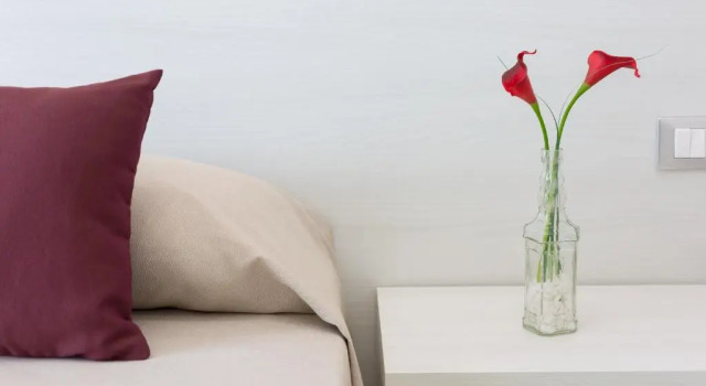 Четырёхместный номер Standard Alfema Rooms
