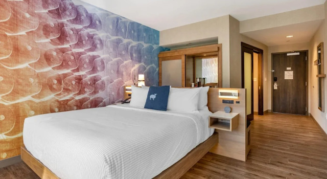 Двухместный номер Standard Cambria Hotel Manchester South Windsor