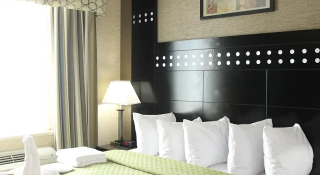 Номер Standard Rodeway Inn Bronx Zoo