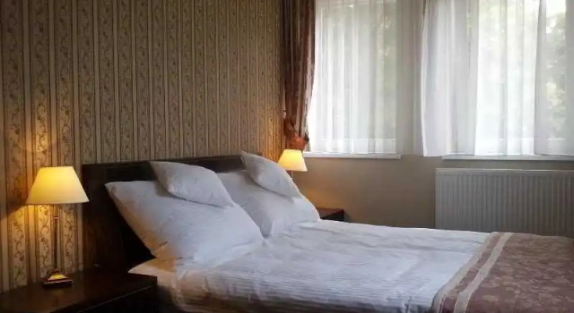 Номер Standard Hotel Logos