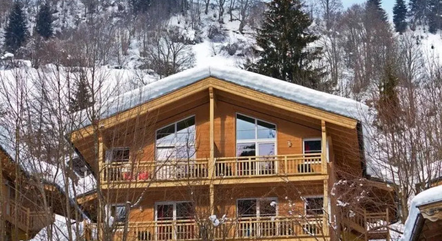 AlpenParks Apartment & Ferienresort Rehrenberg Viehhofen, Забронировать Апартаменты/квартира Апартаменты Лыжного цирка Заальбах-Хинтерглемм-Леоганг-Фибербрунн, Апартаменты/квартира