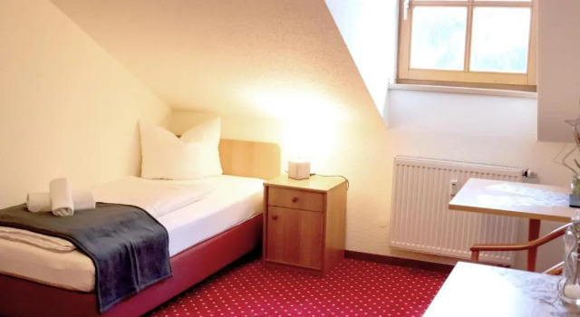 Одноместный номер Standard Landhotel Donaublick
