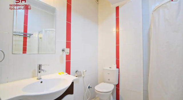 Полулюкс Sedrah Hotel