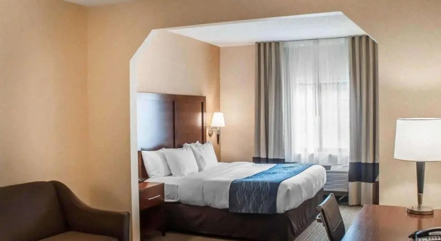 Люкс c 1 комнатой Comfort Inn & Suites Hamburg - Buffalo South