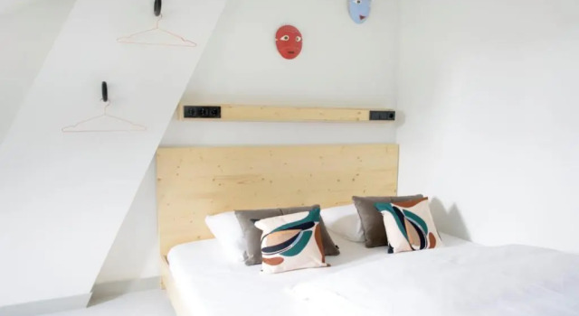 Двухместный номер The Green Elephant Hostel & Spa