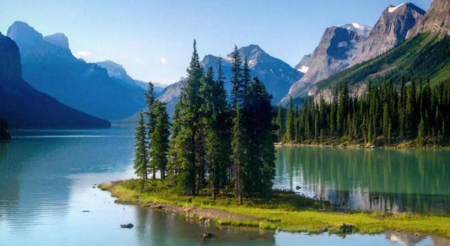 711 Miette Ave, Reserva ahora Bed & breakfast Hoteles en Alberta con desayuno, Desayunos