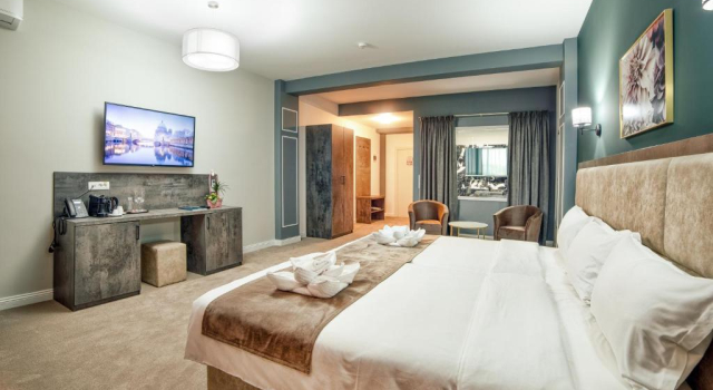 Номер Deluxe Hotel Nordic Twins & Wellness