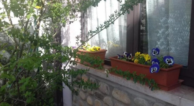 La Rosa del Garda