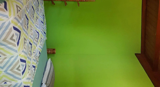 Geckos Hostel