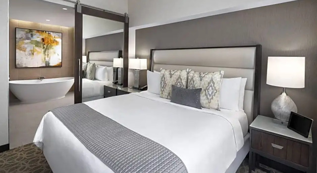 Двухместный люкс Deluxe c 1 комнатой JW Marriott Houston Downtown