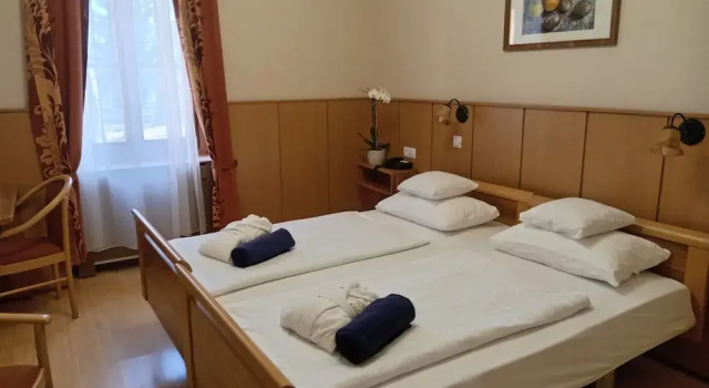 Двухместный номер Standard Főnix Wellness Resort
