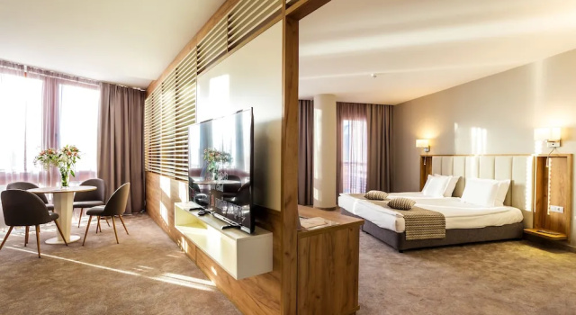 Апартаменты c 1 комнатой с балконом и с видом на горы Hotel Orlovetz