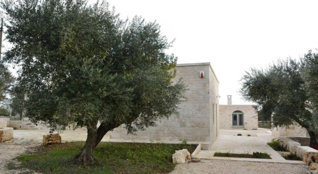 Studio LUliveto
