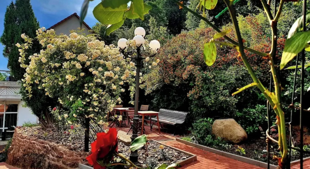 Двухместный номер Standard Hotel Klostergarten