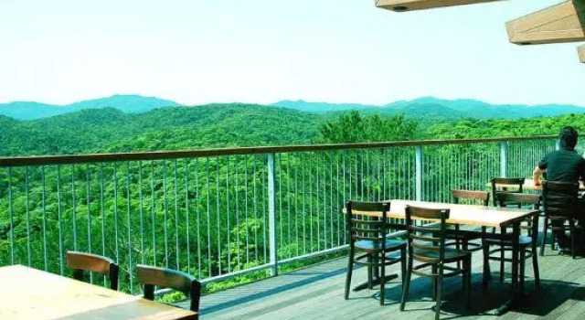 Yambaru Discovery Forest, Prenota Hotel Kunigami 
