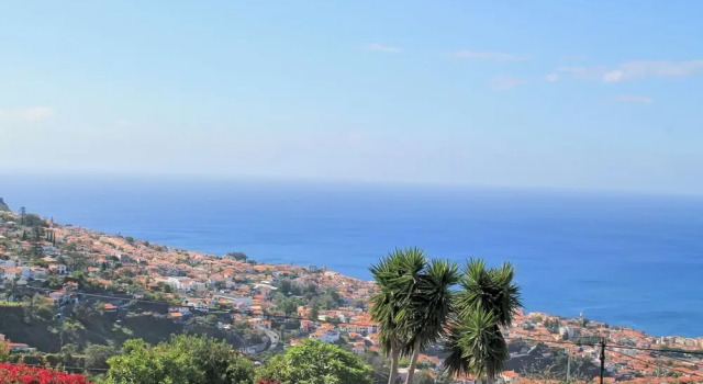 Quinta D'Alegria by Our Madeira