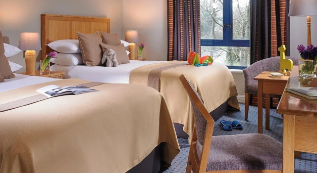 Семейный номер Standard The Parkavon Hotel
