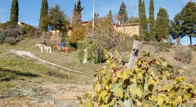 Двухместный номер Standard Podere DellAnselmo