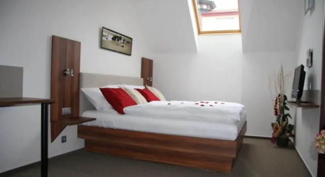 Standard quarto Art Hotel Podebrady