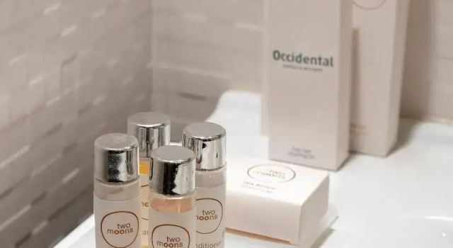 Двухместный номер Occidental Taksim