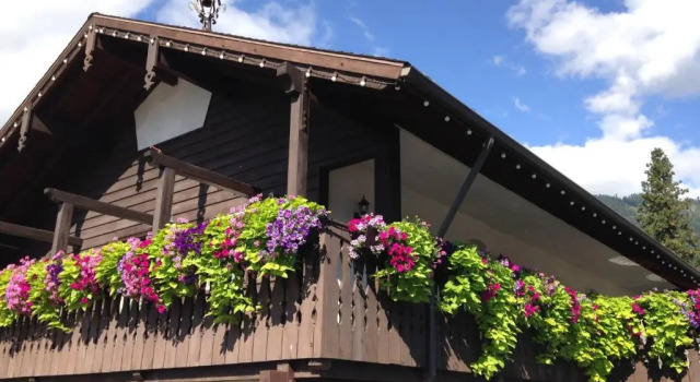 Linderhof Inn, Buchen Sie Gasthaus Mini-Hotels in Washington (state), Gasthaus