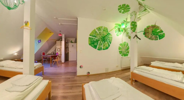Cama en dormitorio compartido (dormitorio compartido femenino) Labyrinth Hostel Weimar