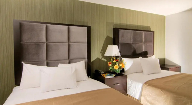 Четырёхместный люкс Paradise Inn and Suites Redwater