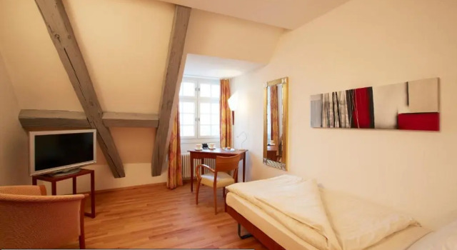 Одноместный номер Standard Boutique Hotel Römerhof - Charme und Genuss am Bodensee